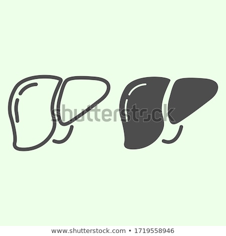 Stock fotó: Liver Line Icon