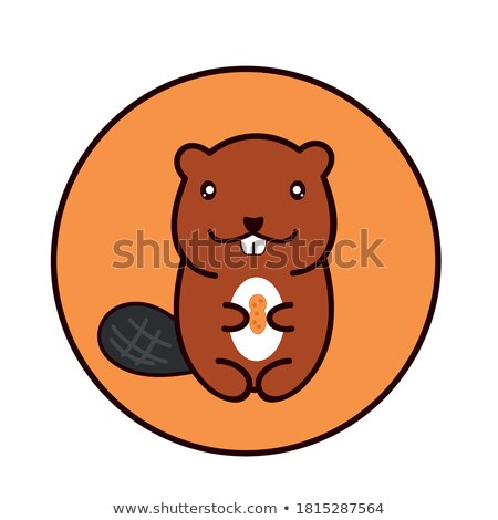 Stock photo: Beaver Facing The Nut