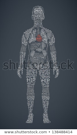 ストックフォト: Kidney Shape Wordcloud Wordtag