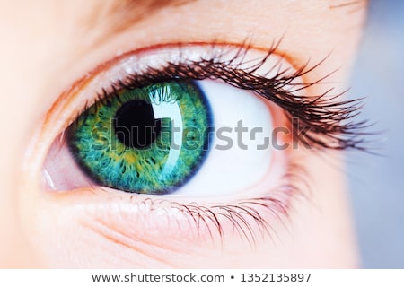 Foto stock: Jos · verdes