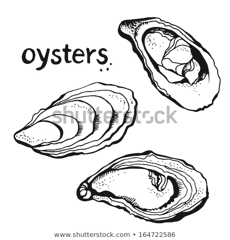 Stok fotoğraf: Raw Oysters Shells