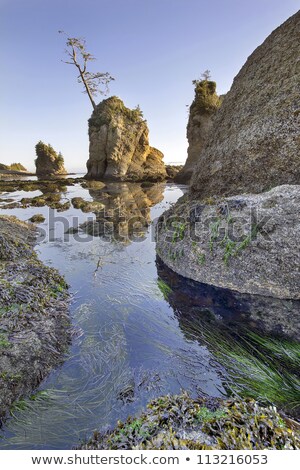 Foto stock: Pig And Sows Rock In Garibaldi Oregon At Low Tide Vertical