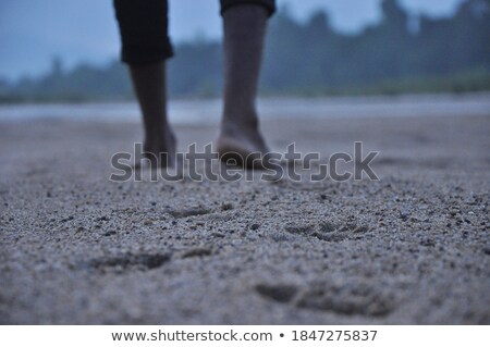 Stockfoto: Morning Volley