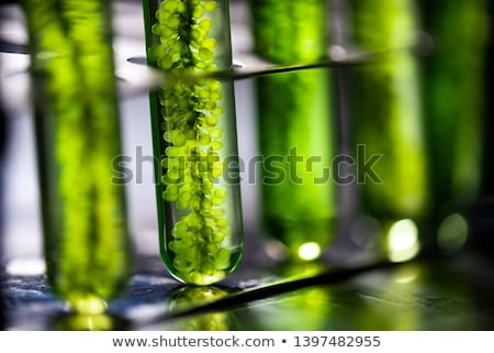 Stock fotó: Biofuel Process