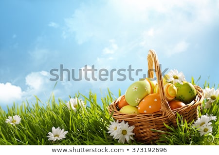 Stock photo: Chicken Eggs In Spring Grass With Daisies