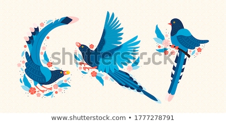 Foto stock: Magpie