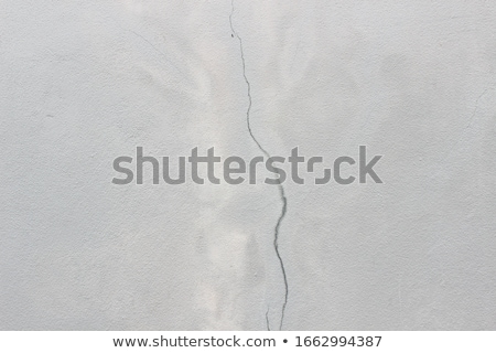 Zdjęcia stock: Elegant Split Crack In Gray Stone