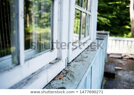 Stock fotó: Old Windows