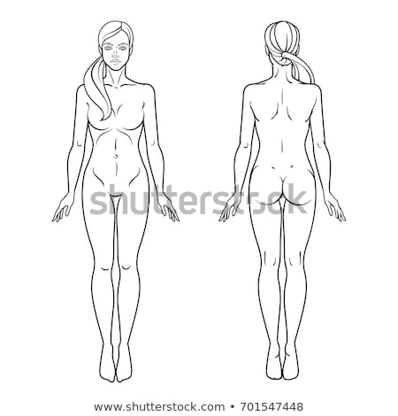 Male and female body line drawing facing back  Stock Illustration  37386492  PIXTA