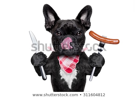 Foto stock: Hungry Dog With Sausage