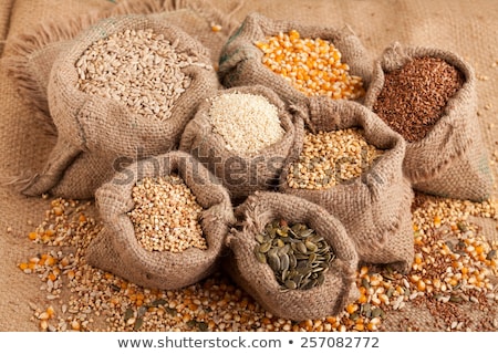 Zdjęcia stock: Sesame Seeds Spill Out Of The Bag