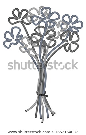 Foto d'archivio: Ethernet Abstract Bouquet