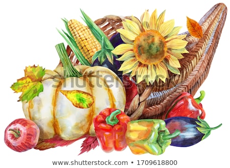 Stock photo: Watercolor Cornucopia Filled With Vegetables And Fruits On White Background