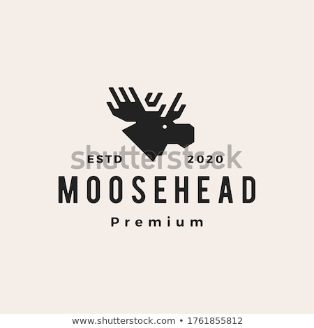 Stok fotoğraf: Wild Moose