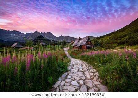 Сток-фото: Summer Huts