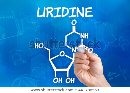 Zdjęcia stock: Hand With Pen Drawing The Chemical Formula Of Uridine