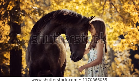 Foto stock: Beautiful Girl Riding Horse On Summer Field