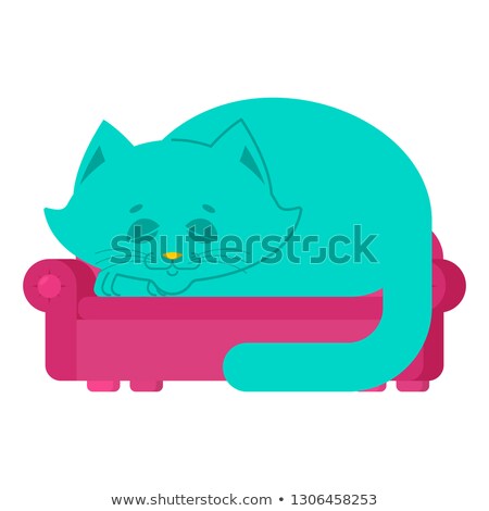 Stok fotoğraf: Big Cat On Couch Asleep Huge Pet On Sofa