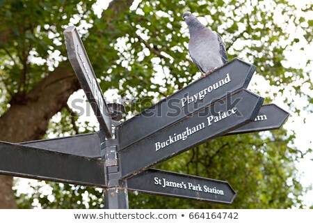 Stockfoto: Pigeon Perched On A Sign In St Jamess Park London