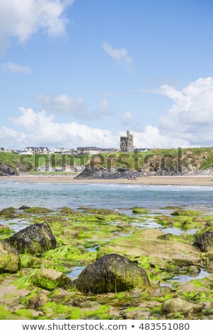 Stock fotó: Ballybunion Beach Seaweed Covered Rocks