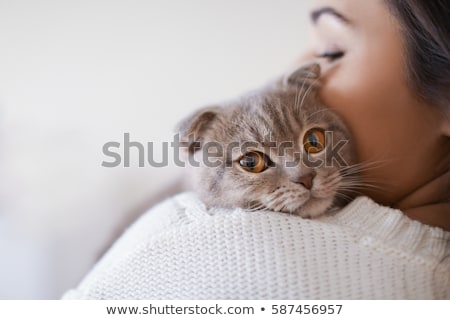 Foto stock: Beautiful Cat Woman