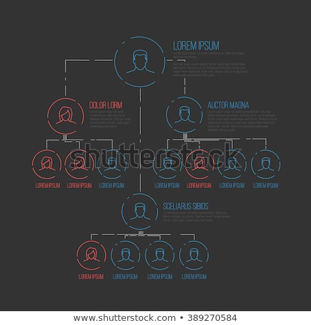 ストックフォト: Vector Infographic Schema Template