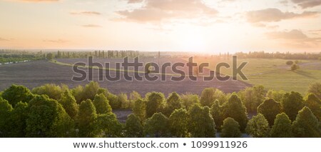 Beautiful Panorama Of A Field Against A Sky At Sunset Photo From The Drone Stockfoto © artjazz