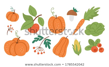 Stock photo: Pumpkin Veggie Autumn Set Of Food And Meal Vector