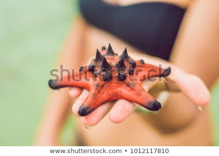 Foto stock: Red Starfish In The Hands Next To The Sea