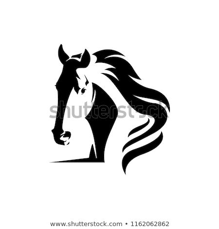 Foto stock: Horse Silhouette Animal