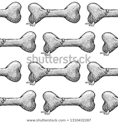 Stock fotó: Dotwork Dog Bone Seamless Pattern