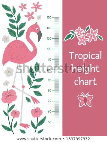 [[stock_photo]]: Height Measurement Chart With Beach Background