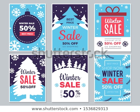 Stockfoto: Big Christmas Holiday Sale Winter Discounts Set
