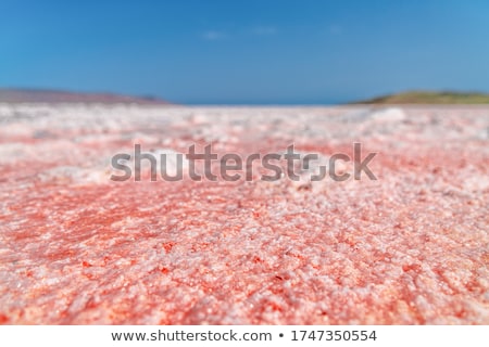 Stockfoto: A Dunaliella Salina Famous For Its Antioxidant Properties Enriching Water By Beta Carotene Used I