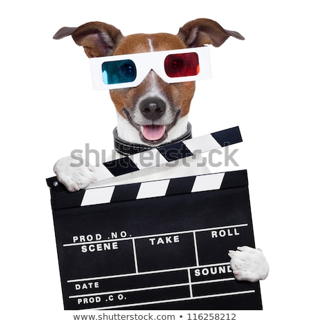 Foto d'archivio: Movie Clapper Board 3d Glasses Dog