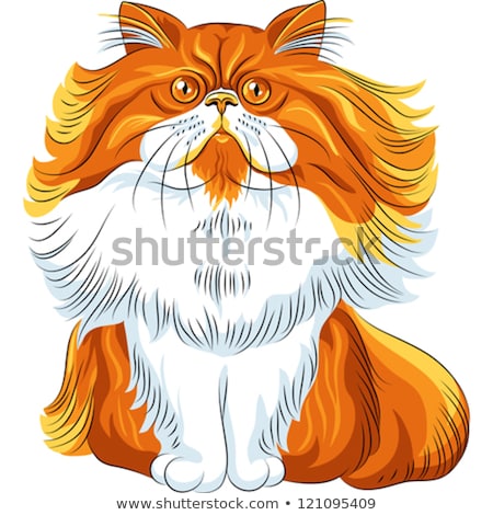 Stock photo: Vector Color Sketch Fluffy Persian Cat