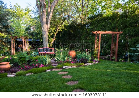 Stock foto: Wooden Arbor In Forest With Stone Seat