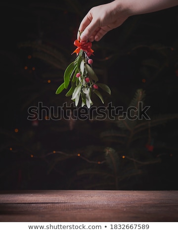 Stock fotó: Mistletoe