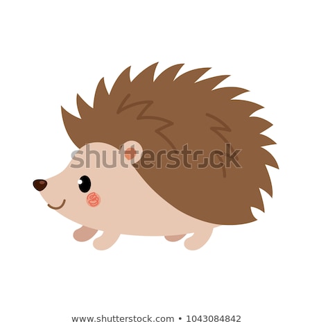 Stock fotó: Cute Hedgehog
