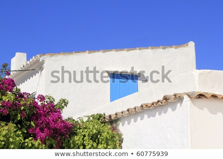 Stockfoto: It · Mediterraan · Huis · Detail · Formentera