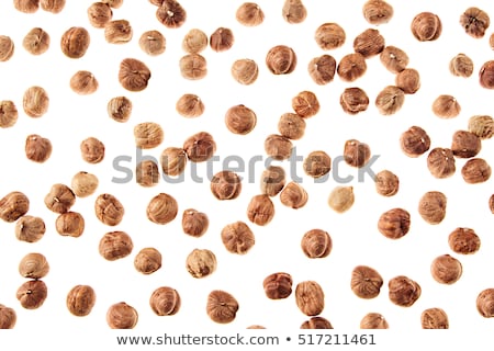 Stock photo: Hazelnut On White Background Pattern Of Selected Hazel Close Up Isolated