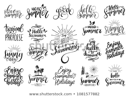 Stock fotó: Enjoy Summer Handwritten Lettering