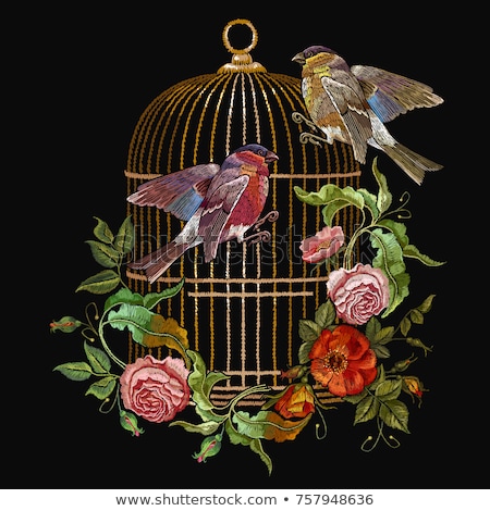 ストックフォト: Vintage Bird Cages