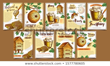 Foto stock: Bee Insect Wild And Wooden Beehive Posters Vector