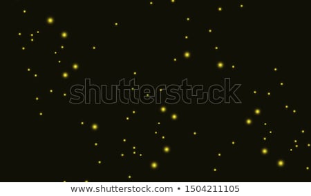 Сток-фото: Firefly