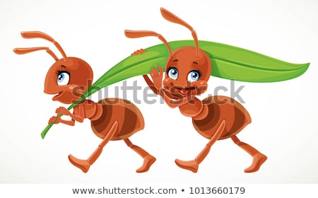 Stok fotoğraf: Cartoon Character Ant