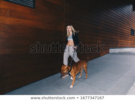 Foto d'archivio: Smiling Pretty Young Blonde Posing With Two Dogs