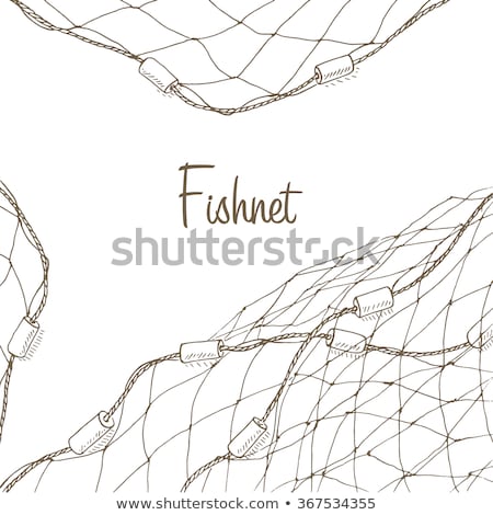 Stockfoto: Net And Fish