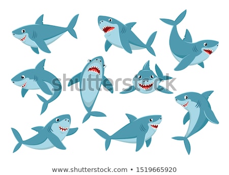 [[stock_photo]]: Shark