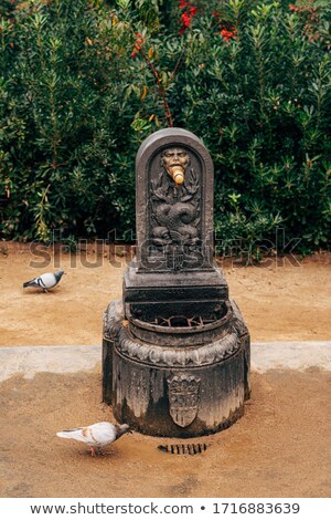 Сток-фото: Pigeon On The Fountain Column